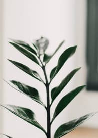 Nageldesign main photo